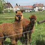 Ferienhaus Hedwig * Landau in der Pfalz