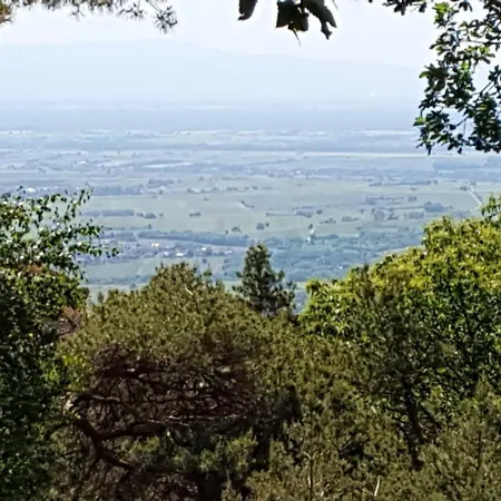 Ferienhaus Hedwig Vakantiehuis *