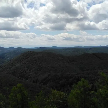 Ferienhaus Hedwig * 朗道因德普法尔茨