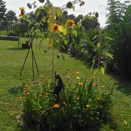 度假居 Ferienhaus Hedwig *