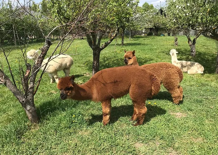 Vakantiehuis Ferienhaus Hedwig