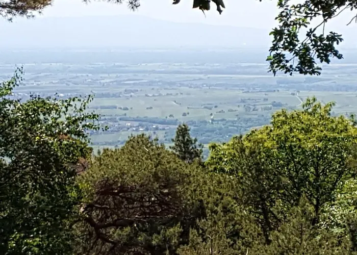 Ferienhaus Hedwig Ferienhaus *
