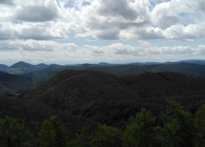 Ferienhaus Hedwig * Landau in der Pfalz