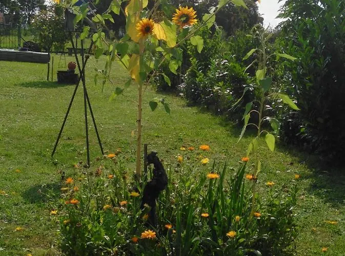 Ferienhaus Ferienhaus Hedwig *